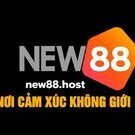 new88host